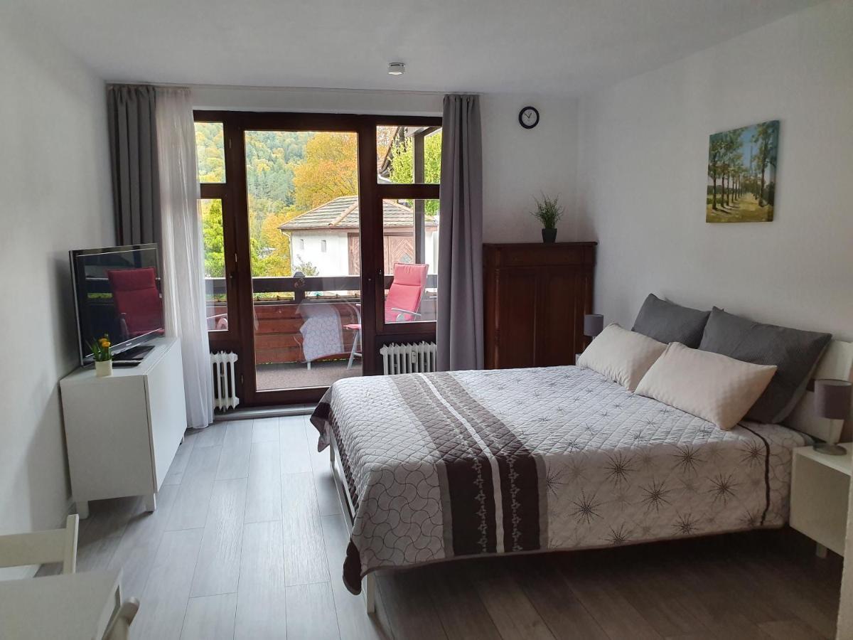 Gemuetliche Ferienwohnung Am Kurpark In บัดแฮร์เรนอัลบ์ ภายนอก รูปภาพ